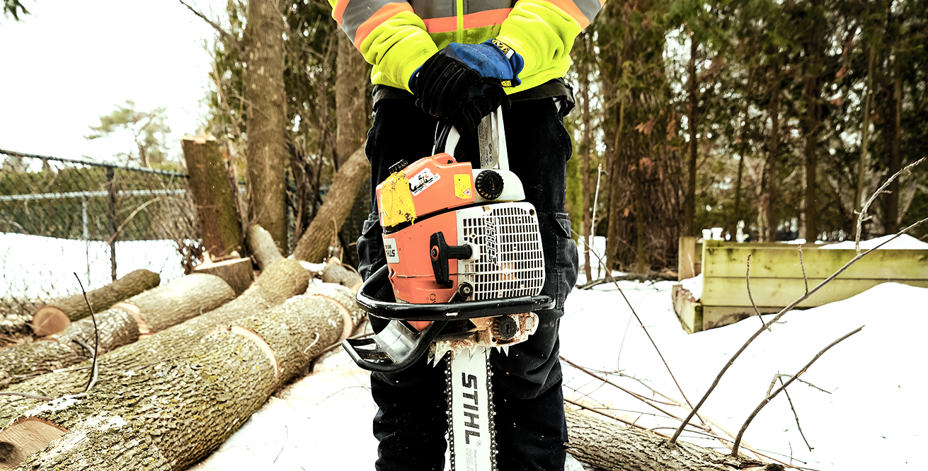TreePro Toronto Arborist Services, GTA Arborist Services, Tree Removal