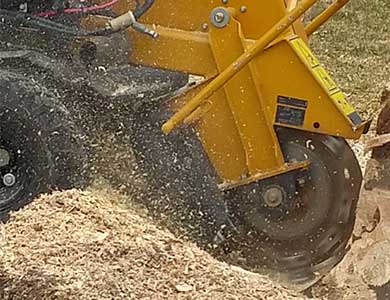 TreePro - Tree removal services in Toronto